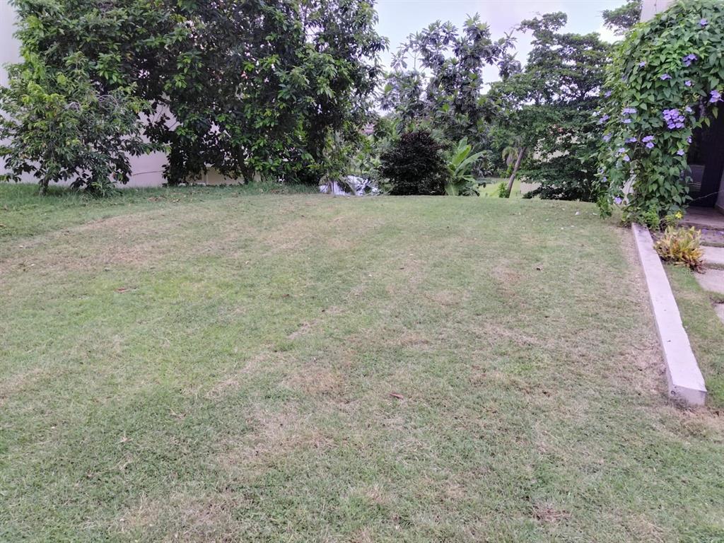 A grassy backyard lawn is bordered by lush trees and a flowering vine-covered structure — 145 MONTECARLO, HUMACAO, PR