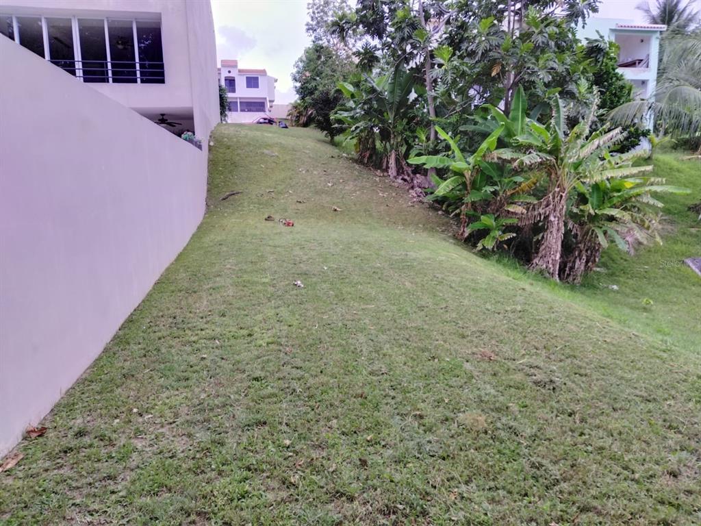 A grassy, sloped residential lot sits adjacent to a tall concrete wall and lush vegetation — 145 MONTECARLO, HUMACAO, PR