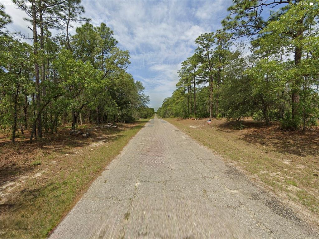 A narrow paved road stretches through a wooded area with pine trees on both sides — 1022 W CARY DRIVE, CITRUS SPRINGS, FL