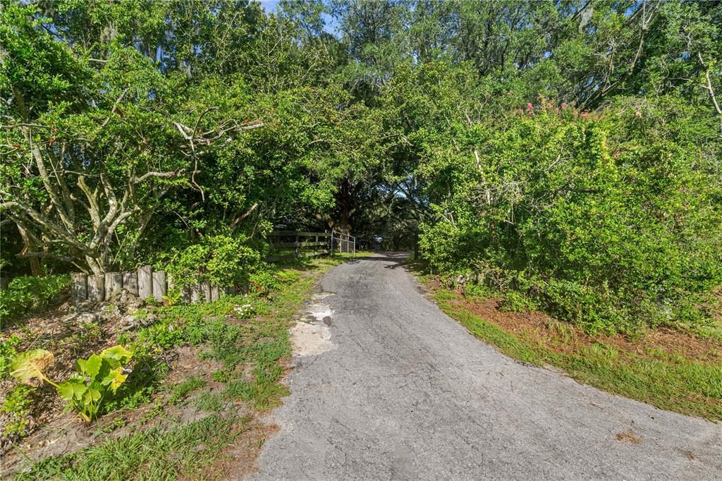 A paved driveway leads through a lush, tree-lined entrance toward a wooden fence and gate — 16250 SW 20TH AVENUE ROAD, OCALA, FL