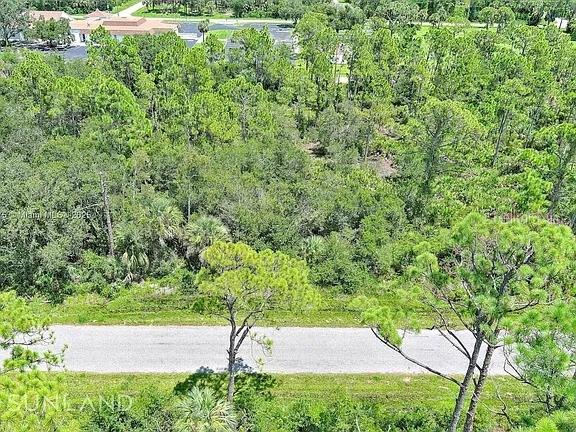 An aerial view shows a paved road bordering a dense, wooded lot with mature trees — 56 MORDECAL STREET, PORT CHARLOTTE, FL