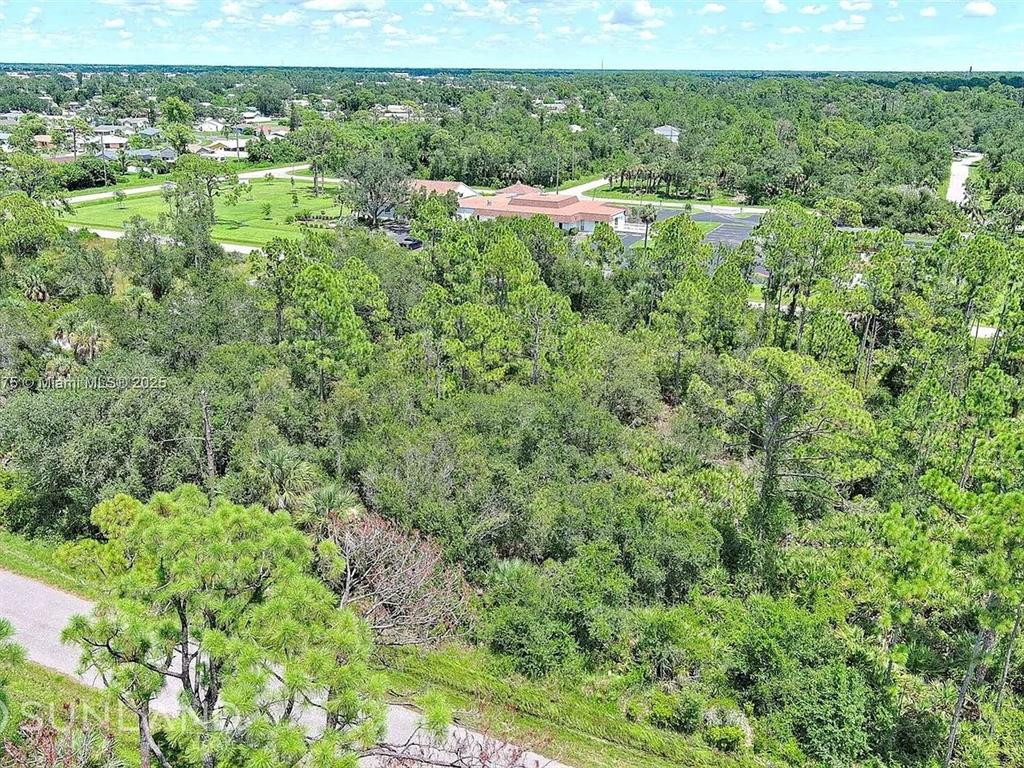 An aerial view shows a dense, wooded lot next to a paved road and building — 56 MORDECAL STREET, PORT CHARLOTTE, FL