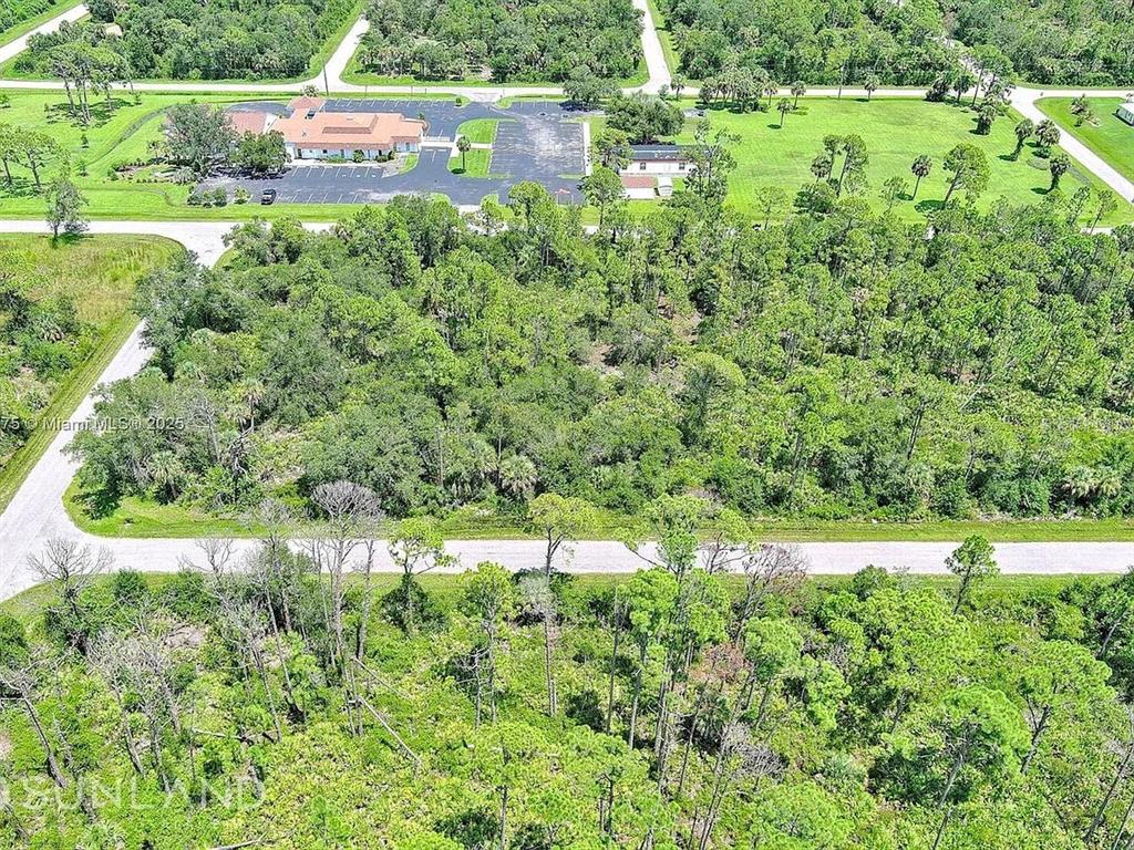An aerial view shows a large, undeveloped wooded lot situated near a paved road — 56 MORDECAL STREET, PORT CHARLOTTE, FL