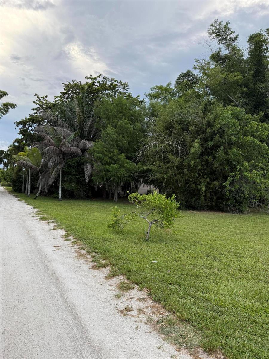 A dirt road runs alongside a grassy lot with various trees and shrubs — 345 Citrus Drive, FL 33470, FL