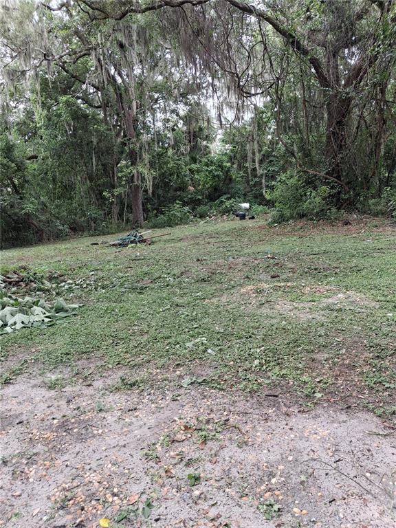 A grassy, partially cleared lot is surrounded by mature trees with hanging Spanish moss — 2713 BERDETTA STREET, LEESBURG, FL