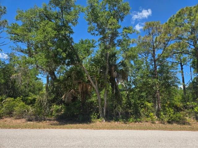 A view of a wooded, undeveloped lot from an adjacent paved road — 3137 CALEXICO STREET, PORT CHARLOTTE, FL