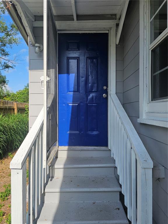 A blue front door with a screen door is accessed by a set of wooden stairs — 8114 N 11TH STREET, TAMPA, FL