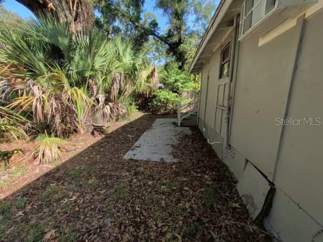 A side view of a house exterior with a concrete walkway and surrounding vegetation — 8114 N 11TH STREET, TAMPA, FL