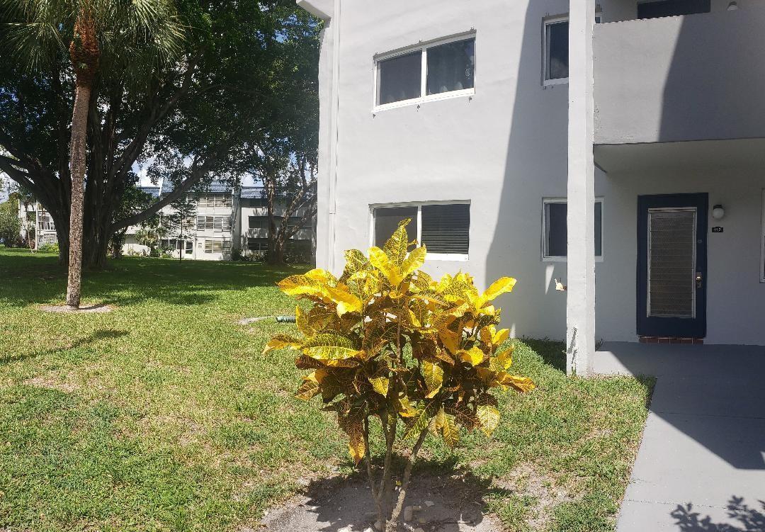 A yellow and green croton shrub sits in the grass outside a gray apartment building — 7897 Golf Cir Drive # 112, Margate FL 33063, MARGATE, FL
