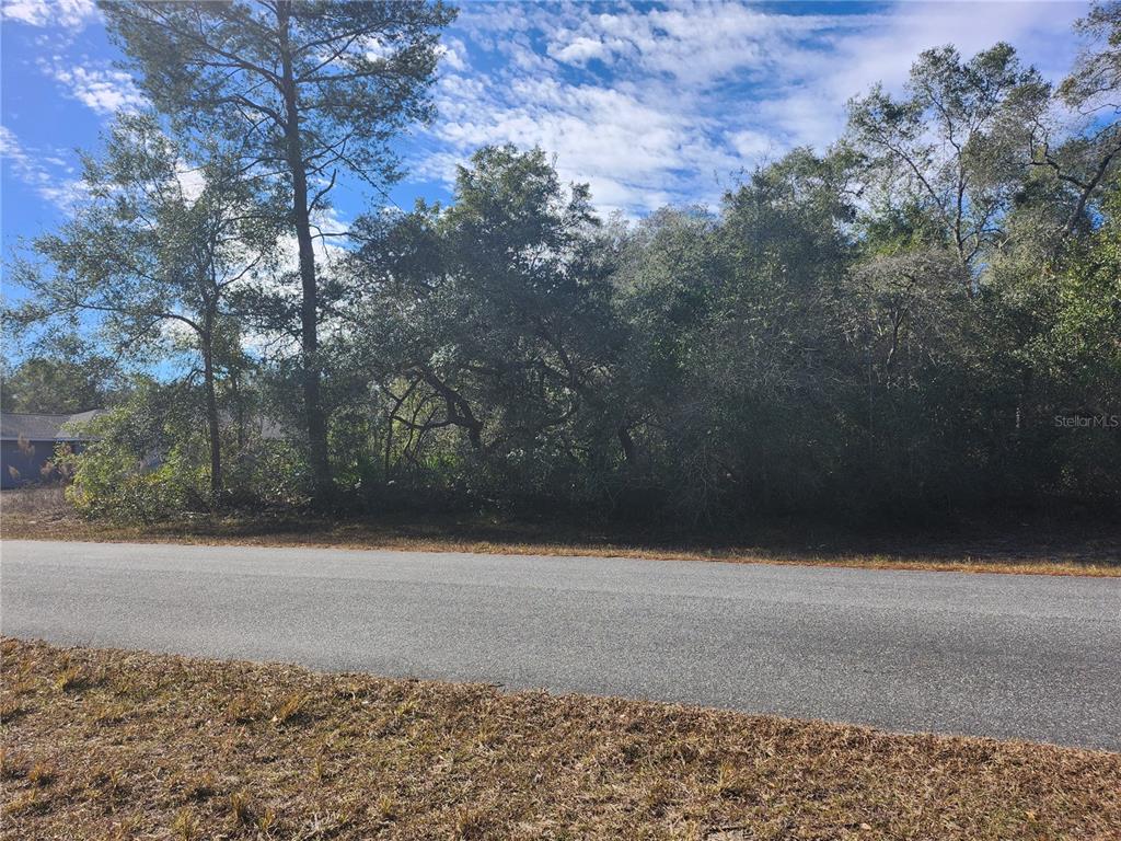A paved road runs in front of a wooded, undeveloped residential lot — TBD SW 29 TERRACE ROAD, OCALA, FL