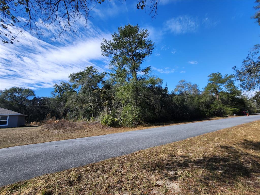 A paved road runs alongside a wooded lot with a house visible on the left — TBD SW 29 TERRACE ROAD, OCALA, FL