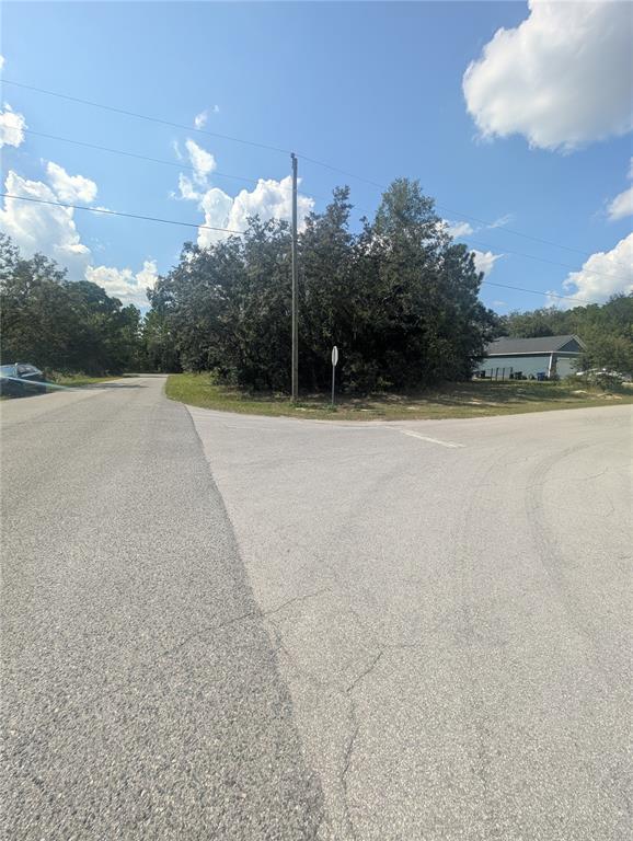 An empty, wooded corner lot sits at the intersection of two paved residential streets — 8010 N PRIMROSE DRIVE, CITRUS SPRINGS, FL
