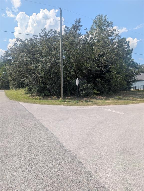 A corner lot with dense trees, a utility pole, and a street sign — 8010 N PRIMROSE DRIVE, CITRUS SPRINGS, FL