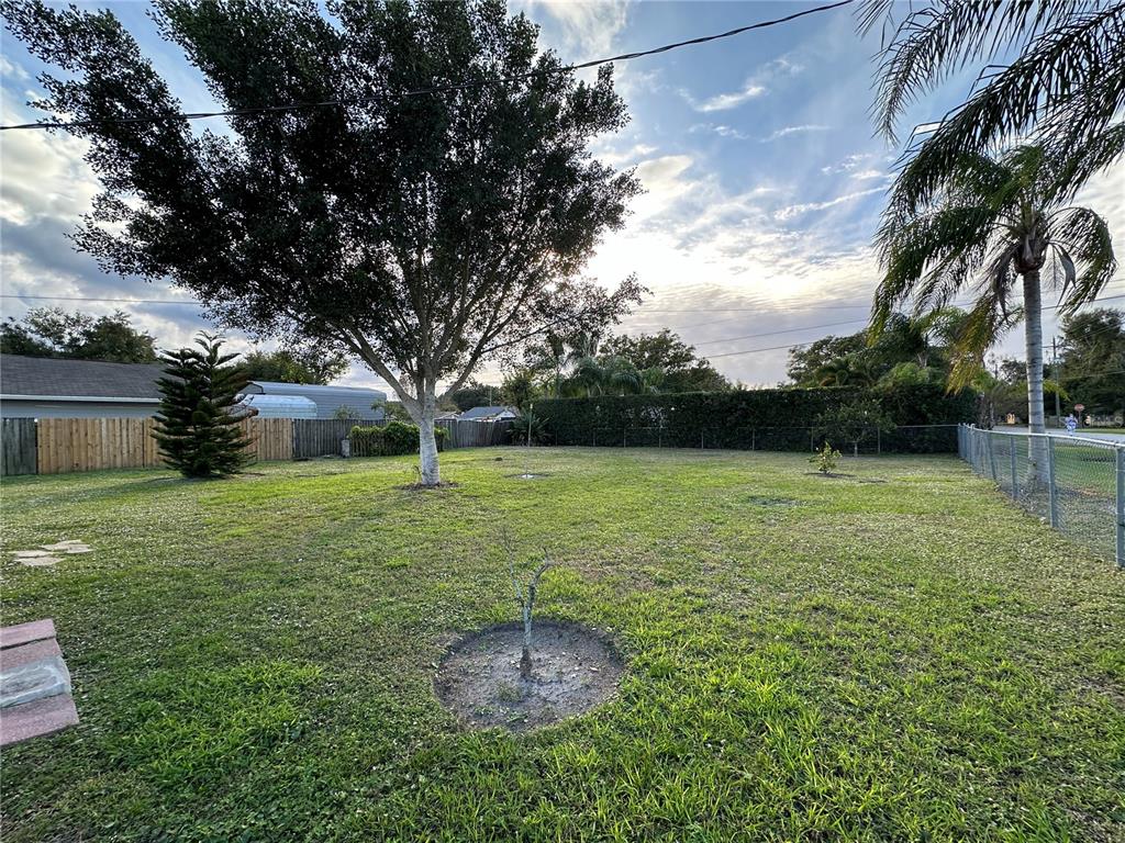 A large, grassy backyard features a mature tree, a small sapling, and a perimeter fence — 1400 CAROLINA AVENUE, ST CLOUD, FL