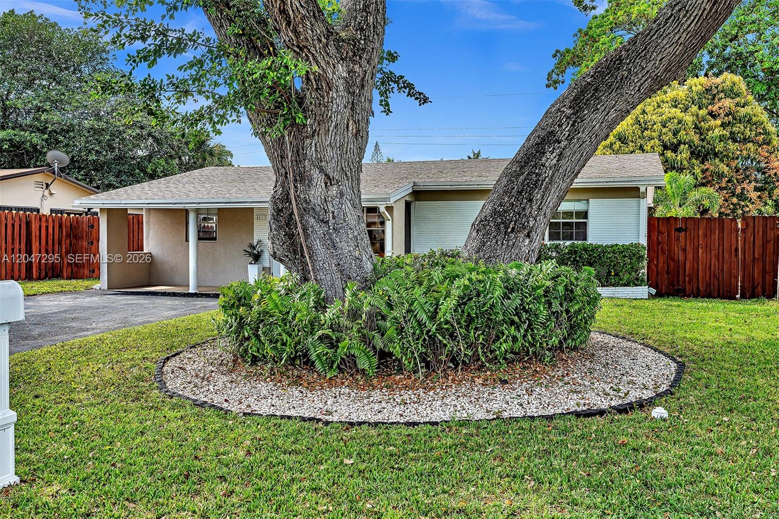 A single-story house features a large tree in the front yard surrounded by landscaping — 4633 SW 28th Ave, Dania Beach FL 33312, DANIA BEACH, FL