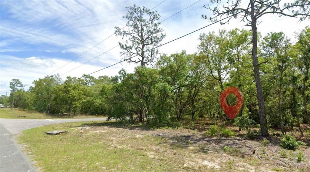 A red location marker sits on a wooded, undeveloped lot next to a paved road — 821 W HOMEWAY LOOP, CITRUS SPRINGS, FL