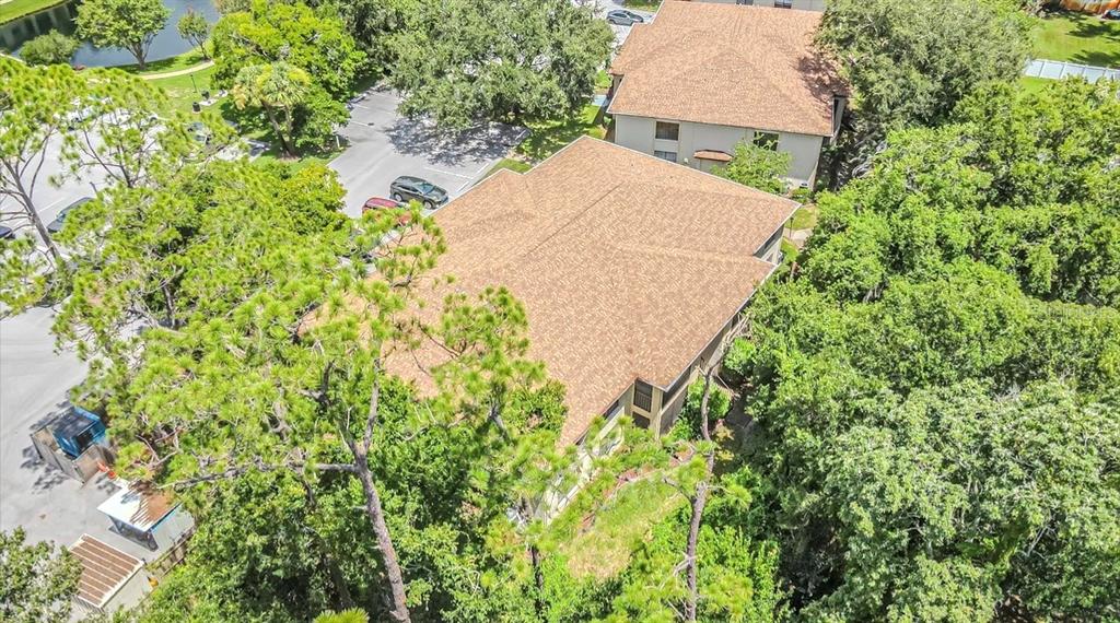 An aerial view shows two multi-story apartment buildings surrounded by trees and a parking lot — 3345 CRYSTAL COURT E UNIT H, PALM HARBOR, FL