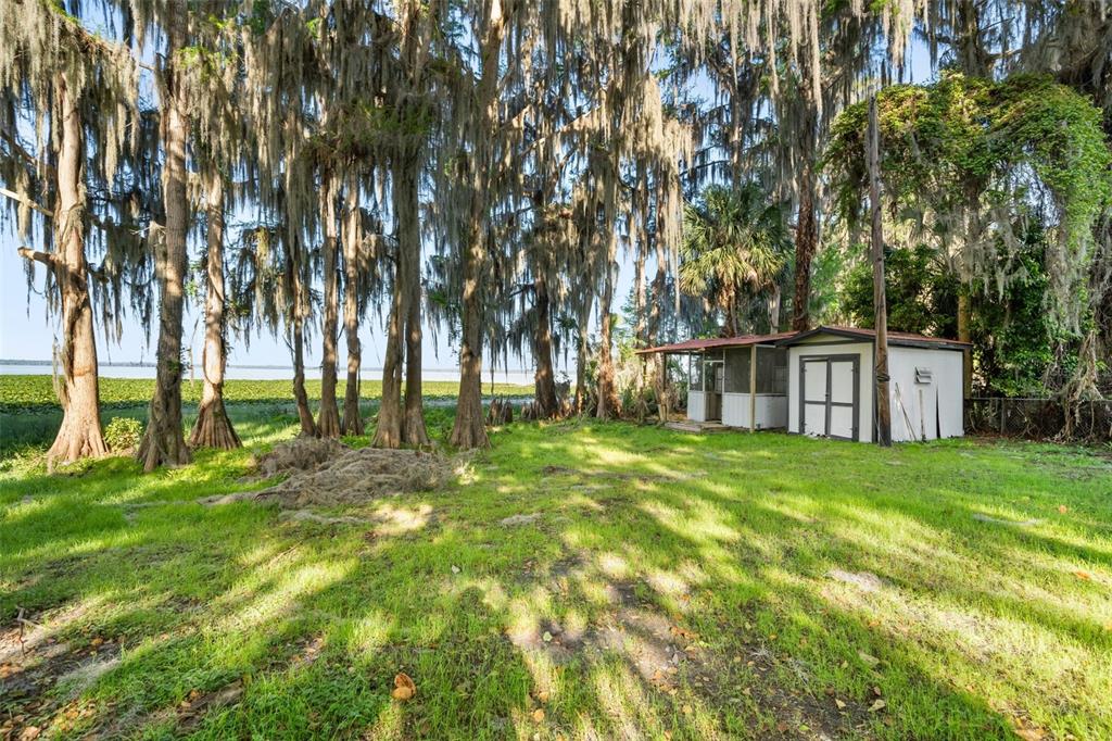 A small shed stands on a grassy lawn beneath tall trees near a lake — 15026 SE US HIGHWAY 301, HAWTHORNE, FL