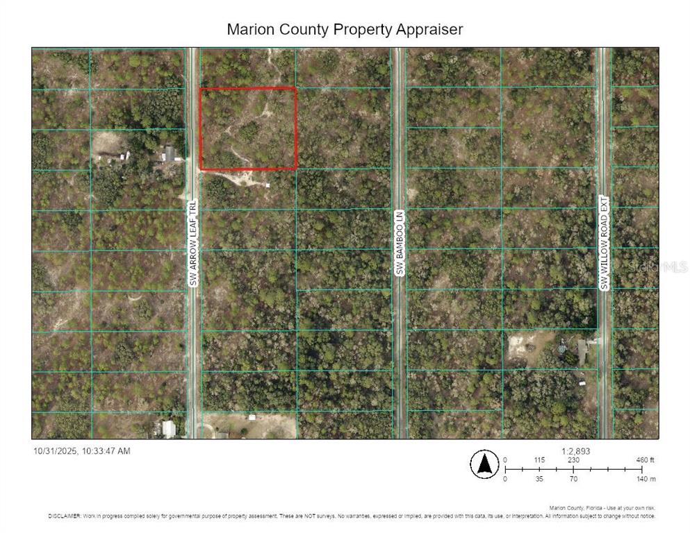 This is a satellite map showing a rectangular property parcel outlined in red — 0 SW ARROW LEAF TRAIL, DUNNELLON, FL