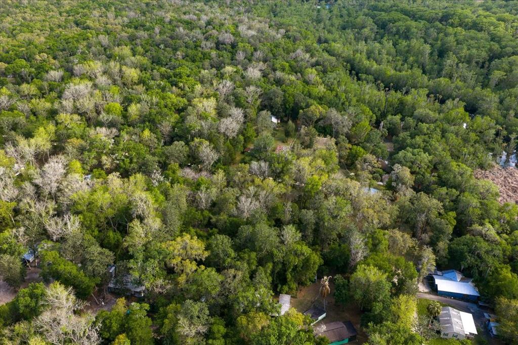 An aerial view shows several small buildings nestled within a dense, wooded forest area — TBD NE 189TH STREET, FORT MC COY, FL