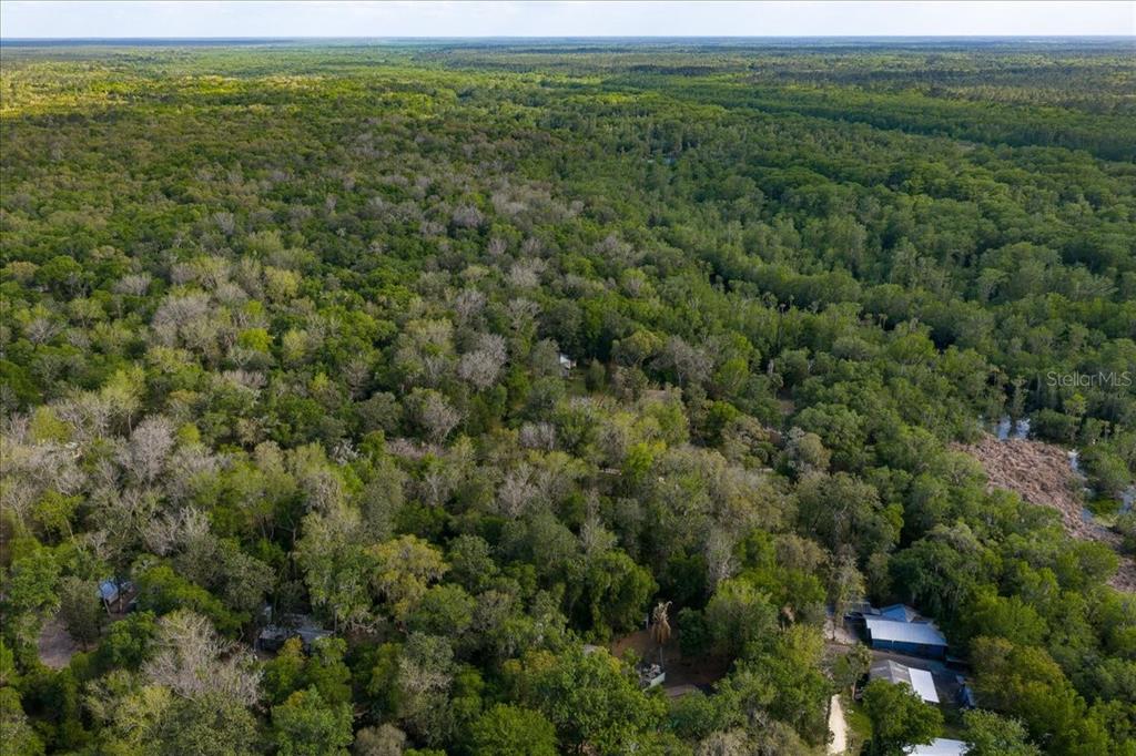 An aerial view shows a dense forest with a few small buildings and structures — TBD NE 189TH STREET, FORT MC COY, FL