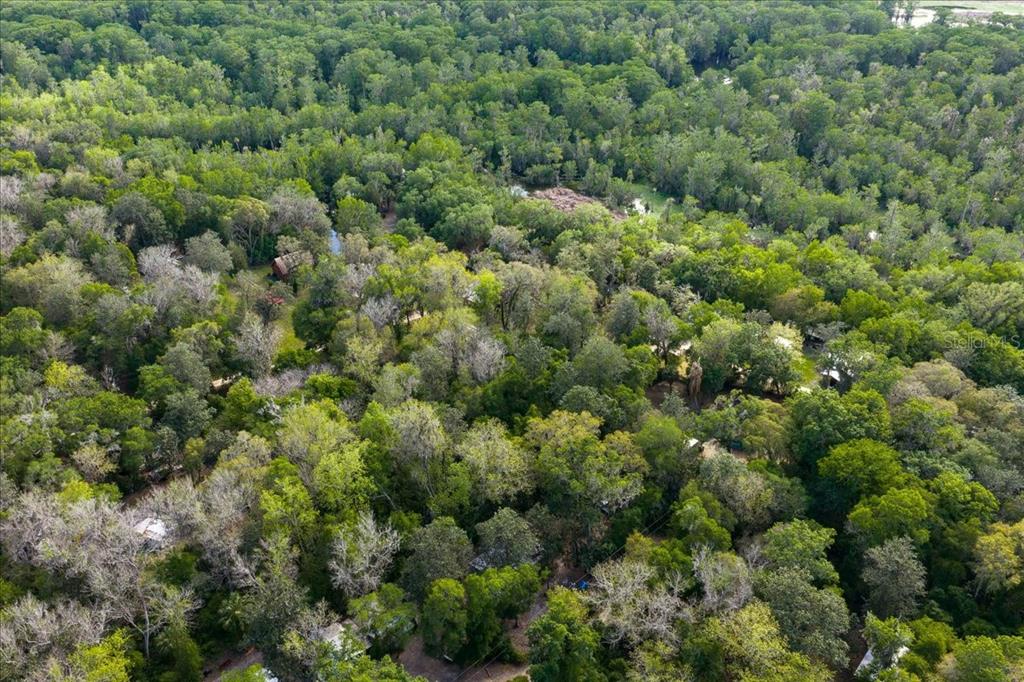 An aerial view shows a dense forest canopy with several small buildings nestled among the trees — TBD NE 189TH STREET, FORT MC COY, FL