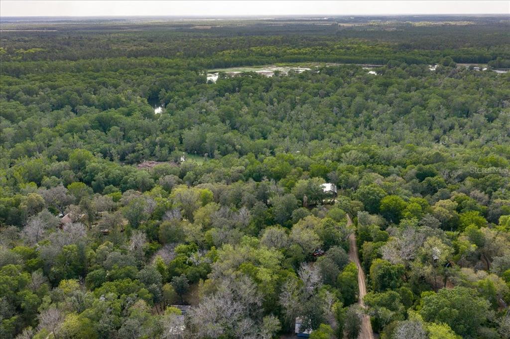 An aerial view shows a house nestled within a dense, green forest near a waterway — TBD NE 189TH STREET, FORT MC COY, FL