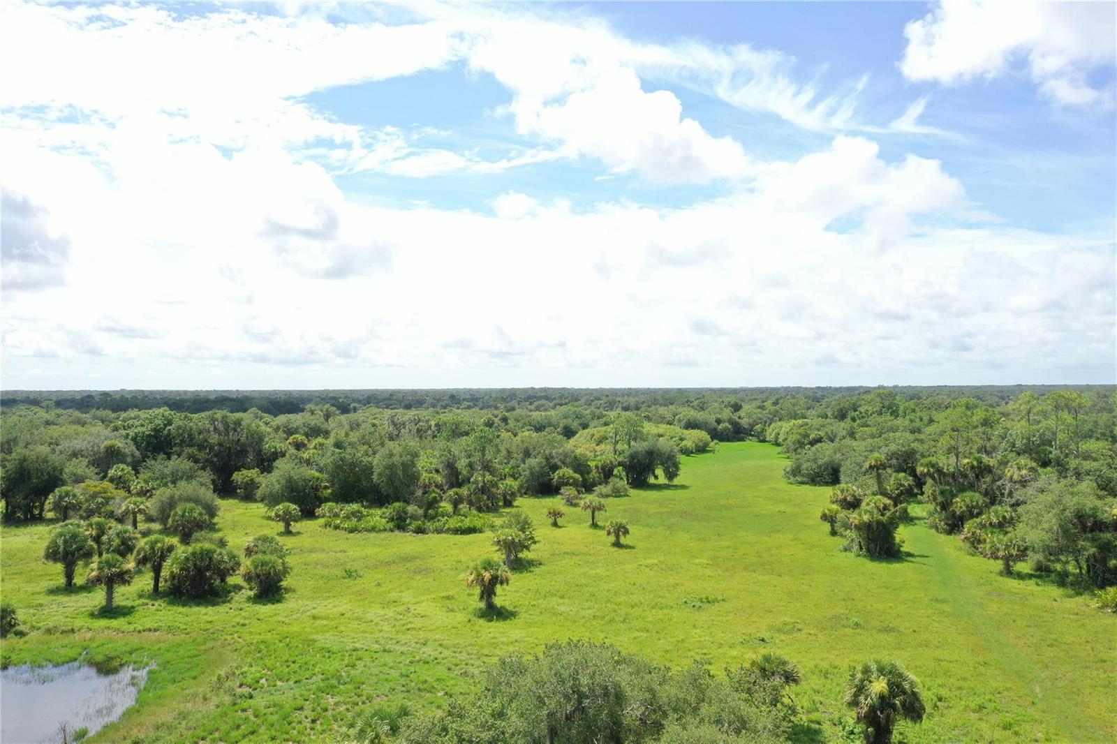 An aerial view of a grassy field surrounded by dense trees under a cloudy sky — 0 Co Rd 832, Clewiston FL 33440, CLEWISTON, FL