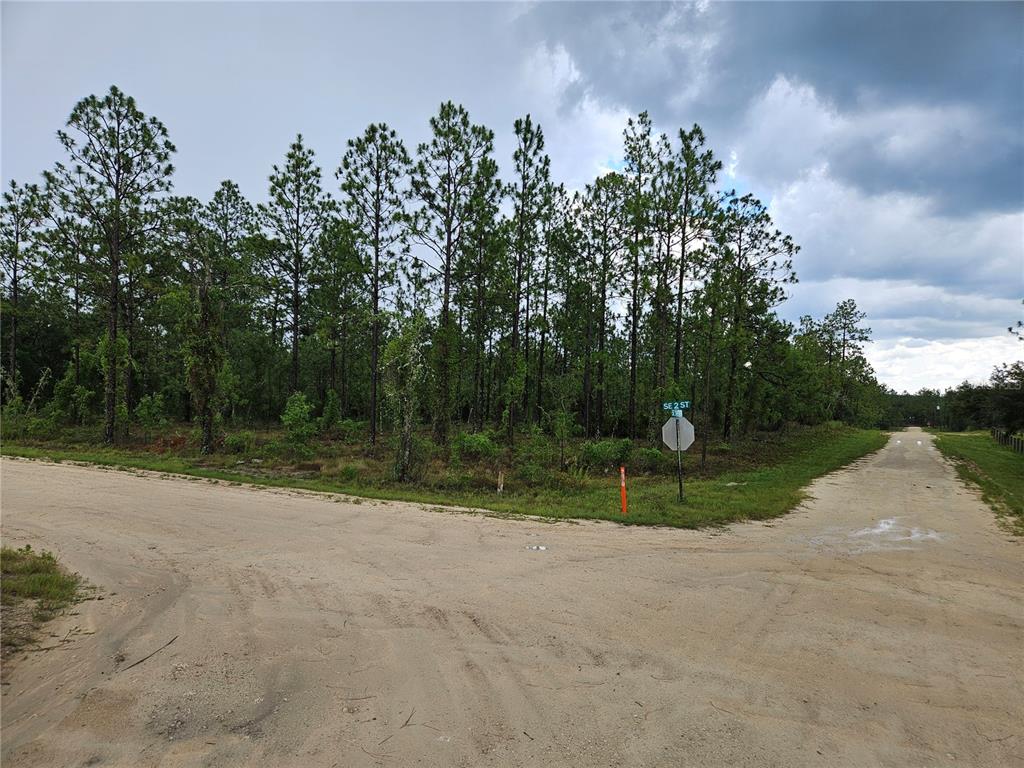 A dirt road intersection borders a wooded lot with a street sign for SE 2 St — 231 SE 146TH TERRACE, WILLISTON, FL