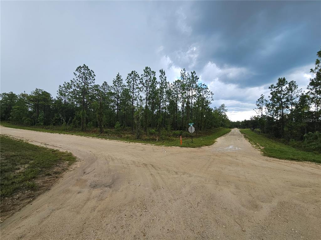 A dirt road intersection is surrounded by a dense forest under a cloudy sky — 231 SE 146TH TERRACE, WILLISTON, FL