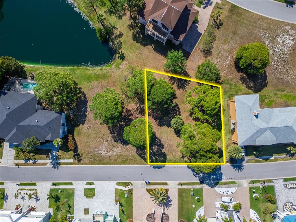 An aerial view shows a vacant, tree-covered residential lot outlined in yellow between two houses — HARBOUR WATCH CIRCLE, TARPON SPRINGS, FL