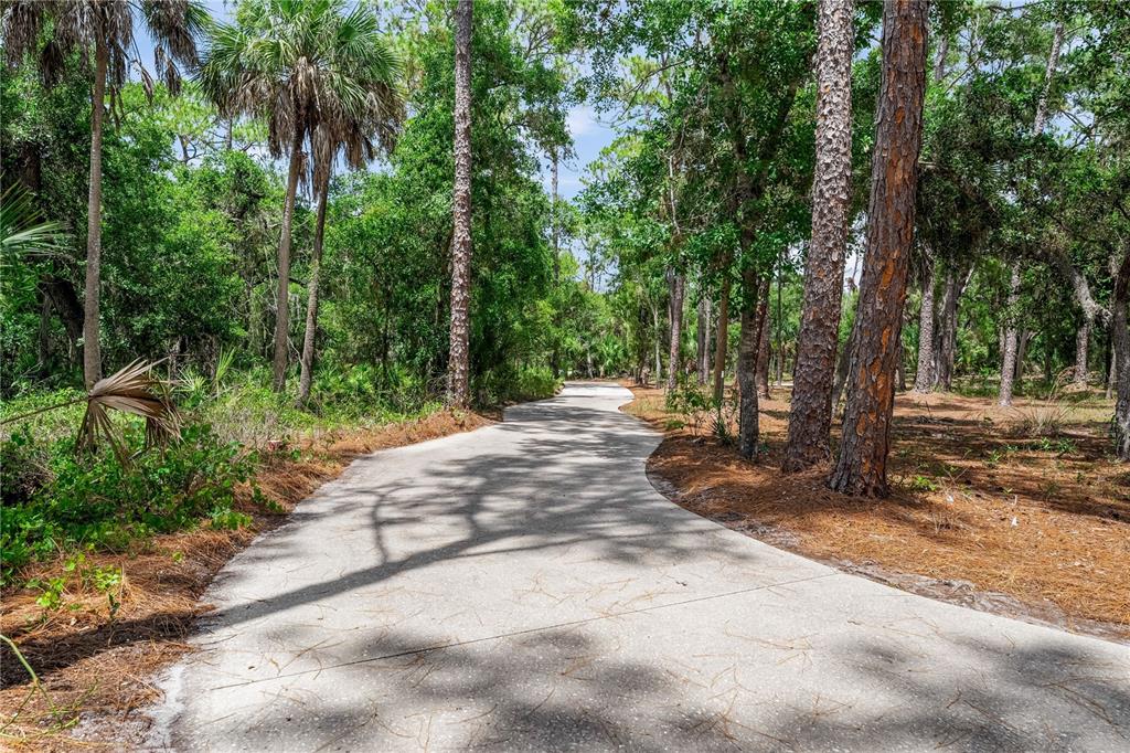 A paved driveway winds through a wooded area with tall pine and palm trees — 2810 SARASOTA GOLF CLUB BOULEVARD, SARASOTA, FL