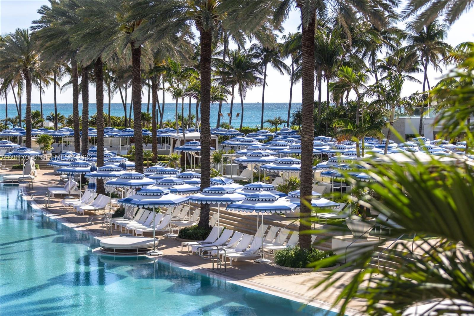 A swimming pool is surrounded by palm trees and rows of blue and white umbrellas — 4391 Collins Ave # 916, Miami Beach FL 33140, MIAMI BEACH, FL