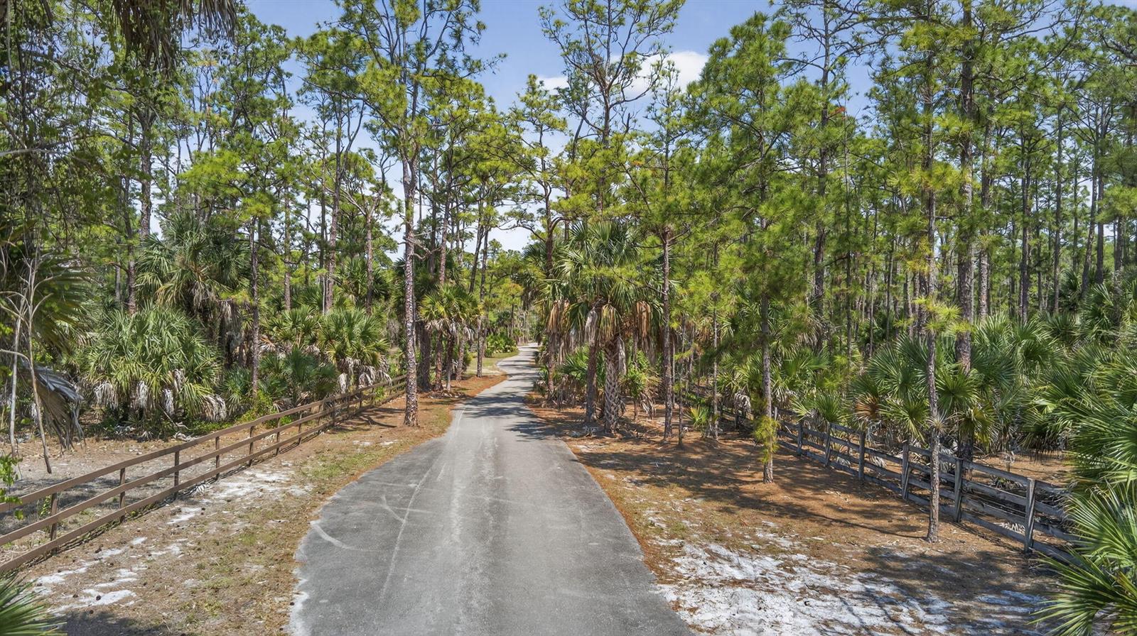 A paved driveway leads through a wooded area lined with wooden fences and palm trees — 1340 Arabian Drive, Loxahatchee FL 33470, LOXAHATCHEE, FL