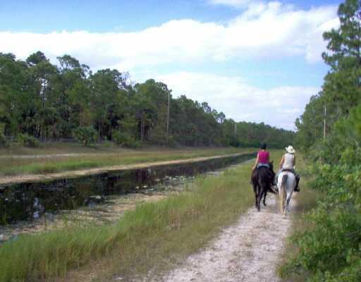 Two people ride horses along a dirt trail beside a narrow canal lined with trees — 1340 Arabian Drive, Loxahatchee FL 33470, LOXAHATCHEE, FL