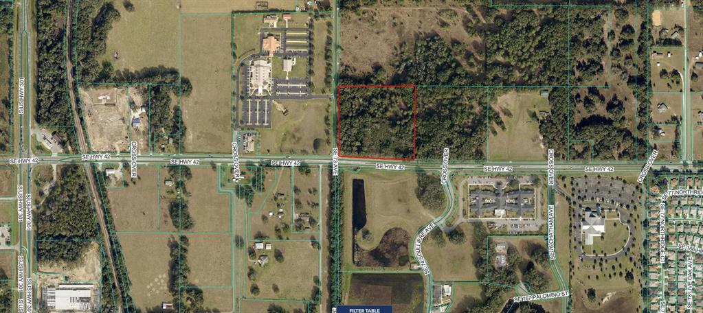 An aerial map view shows a rectangular wooded lot outlined in red near a highway — 7415 SE HIGHWAY 42, SUMMERFIELD, FL