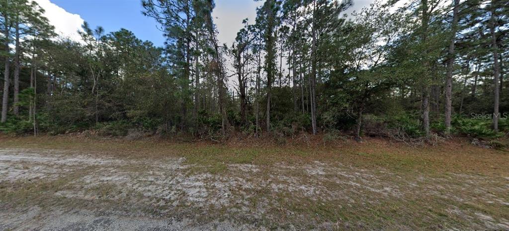 A wooded, undeveloped lot with sandy ground and tall pine trees under a cloudy sky — 1103 JAPONICA AVENUE, INDIAN LAKE ESTATES, FL