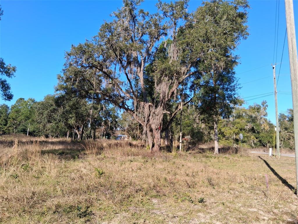 0 LONG CIRCLE, WEBSTER, FL — photo 2 of 7