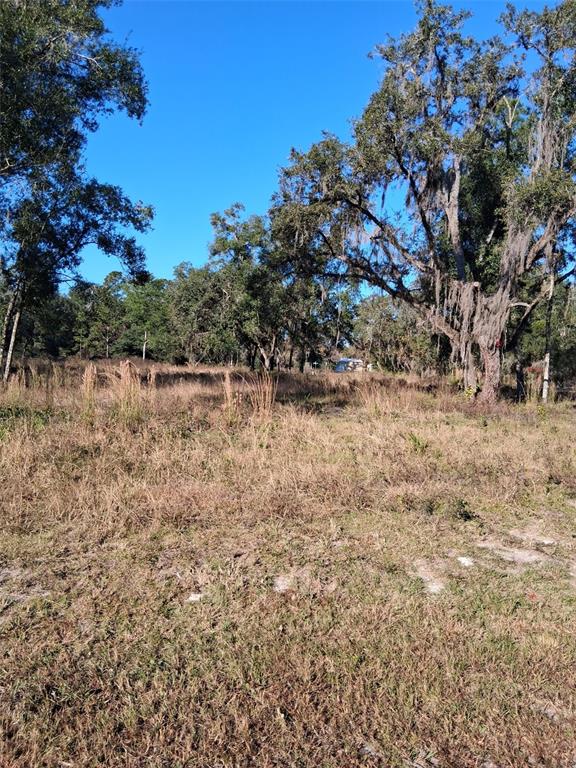 0 LONG CIRCLE, WEBSTER, FL — photo 4 of 7