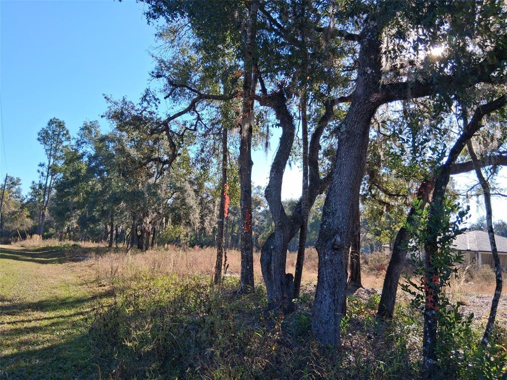 0 LONG CIRCLE, WEBSTER, FL — photo 5 of 7