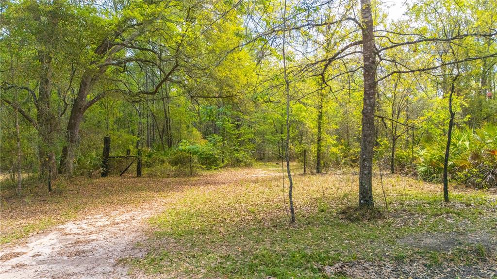 COUNTY ROAD 218, JACKSONVILLE, FL — photo 2 of 27