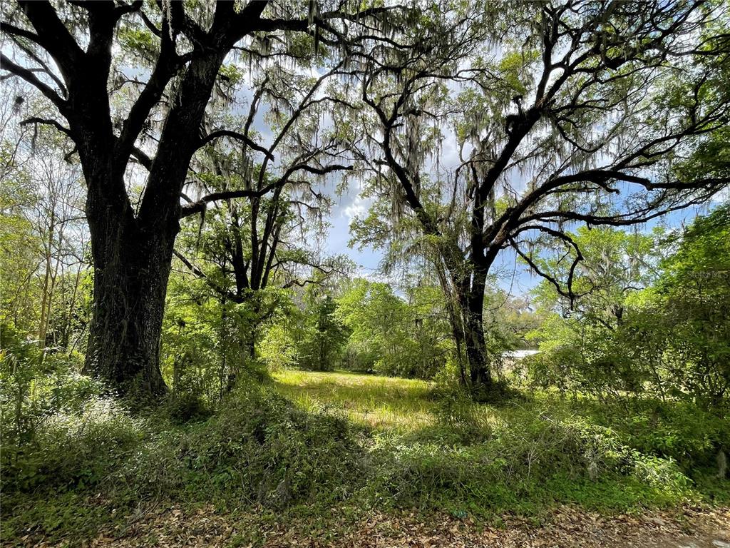 17400 NW 120TH AVE ROAD, REDDICK, FL — photo 2 of 30