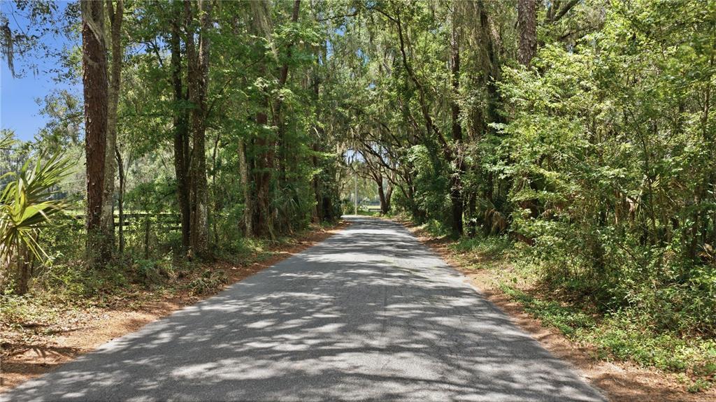 17400 NW 120TH AVE ROAD, REDDICK, FL — photo 4 of 30