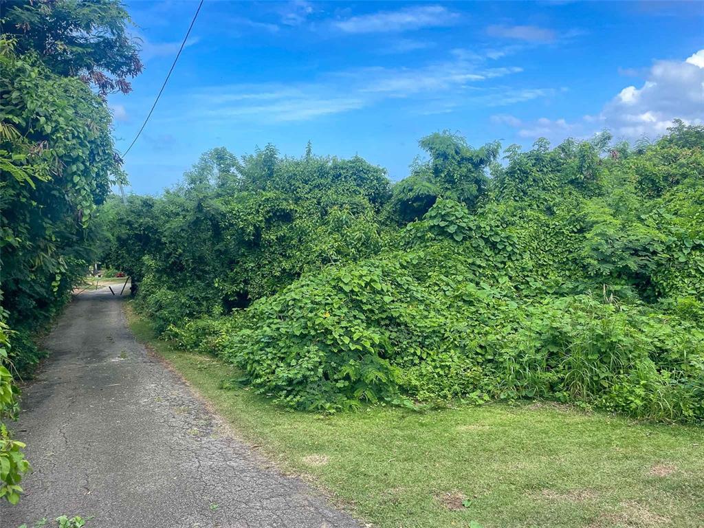 30 CALLE ALTA, VIEQUES, PR — photo 4 of 6