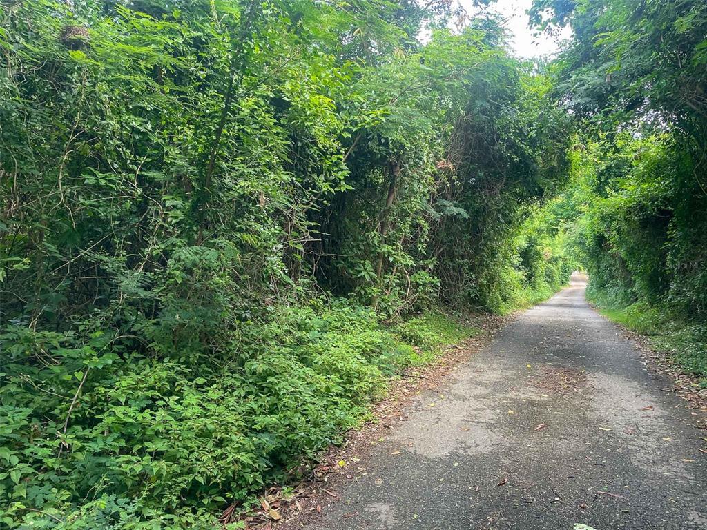 30 CALLE ALTA, VIEQUES, PR — photo 5 of 6