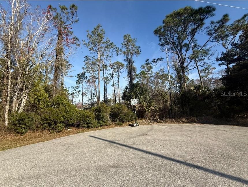 An outdoor basketball hoop stands on a paved surface in front of a wooded area — 3 KALMAR PLACE, PALM COAST, FL