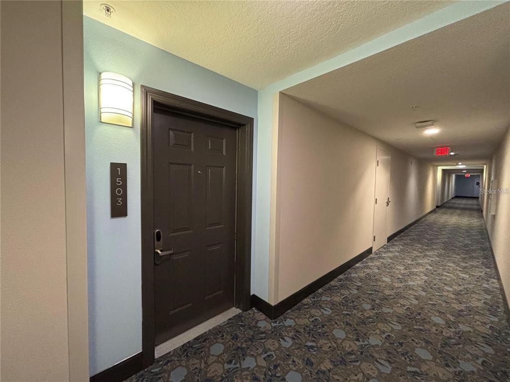 A dark brown door labeled 1503 sits in a hallway with patterned carpet and light walls — 14501 GROVE RESORT AVENUE UNIT 1503, WINTER GARDEN, FL