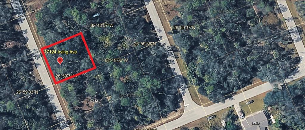 This is an aerial map view of a wooded, undeveloped residential lot — 17124 IRVING AVENUE, PORT CHARLOTTE, FL