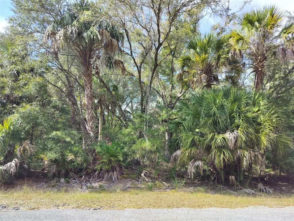 9999 N SNOWBALL POINT, CRYSTAL RIVER, FL — photo 2 of 23