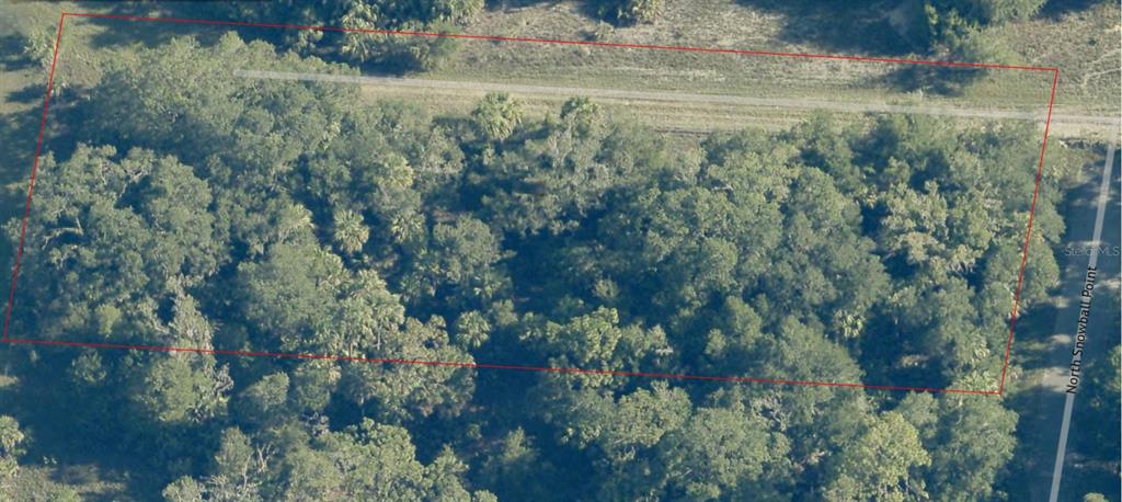 9999 N SNOWBALL POINT, CRYSTAL RIVER, FL — photo 3 of 23